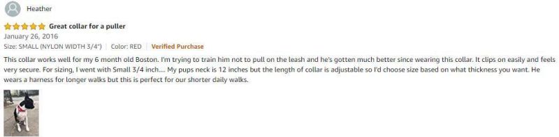 Martingale Dog Collar Puppy Collars with Quick Snap Buckle