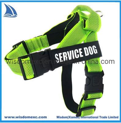 Green No Stop Heavy Duty Dog Collar Wear Harness