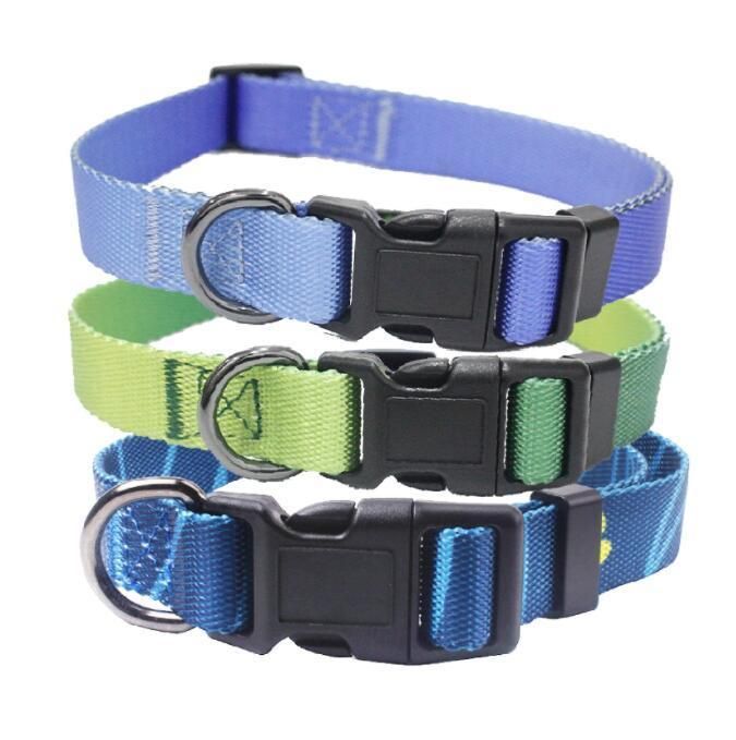 Gradient Dog Collar Durable and Fashionable Style