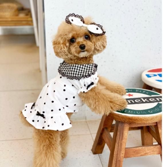 Summer and Autumn Newest Plaid DOT Turndown Design Pet Skirt Super Fashion and Comfortable Dog Clothes