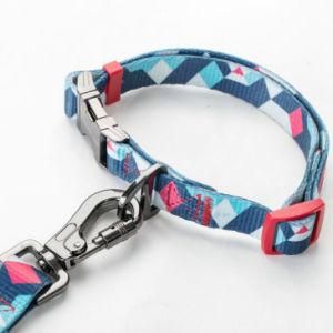 China Supply Robust Dog Leashes High Quality Pets Walking Leash