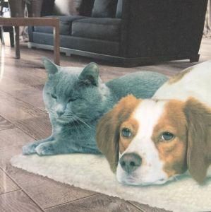 Pet Pad Dog Cushion Cat Mat Pet Mat Dog Pad