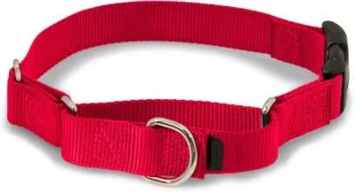 Easy on-off Durable Nylon Buckle Dog Collar