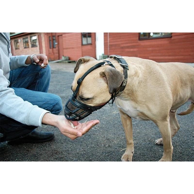 Eco-Friendly Mouth Mask Comfortable Dog Muzzle Wholesale Muzzle for Dogs