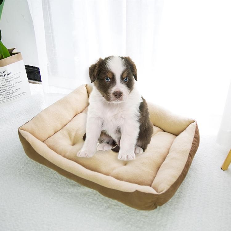 Removable Washable Premium Breathable Pet Sofa Durable Waterproof Orthopedic Memory Foam Cat Dog Bed