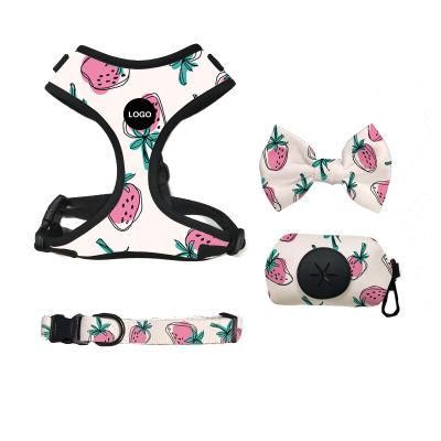 Customized Pet Dog Harness Collar and Dog Leash/Best Dog Harness