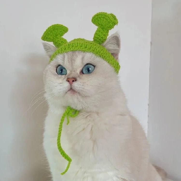 Pet Accessories Clothing Green Shrek Hat Funny Wool Hand Knitted Ruffian Net Red Cat Cute Headgear