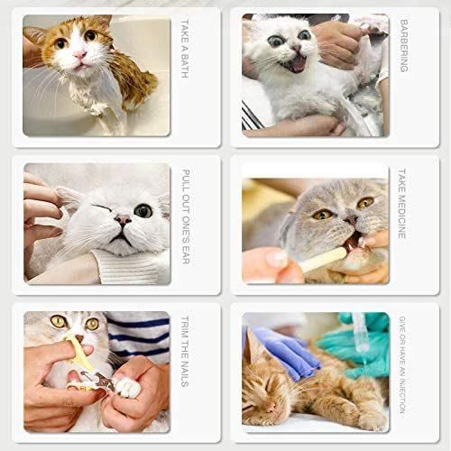 Anti-Scratch Boots Silicone Cat Shoes Boots Rubber Nail Cover Precaution Scratch Gloves