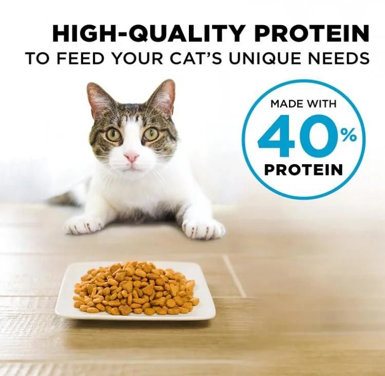 Easy Feeding Fresh Healthy Dry Pet Food Dog Food Cat Food with Pet Packed Bag