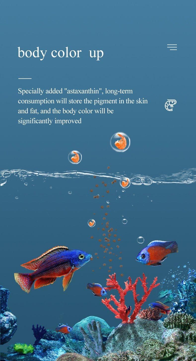 Yee Fish Nutrition Food High Protein Fish Food Cichlids Healthy Food
