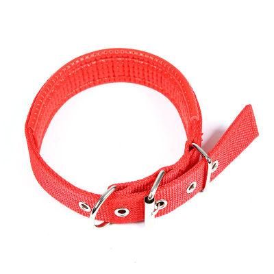 Hot Sale Cheap Nylon Adjustable Dog Collar with Metal Buckle
