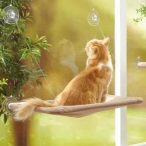 Cat Hammock Cat Sunny Seat Window Mounted Cat Bed 50 Lbs