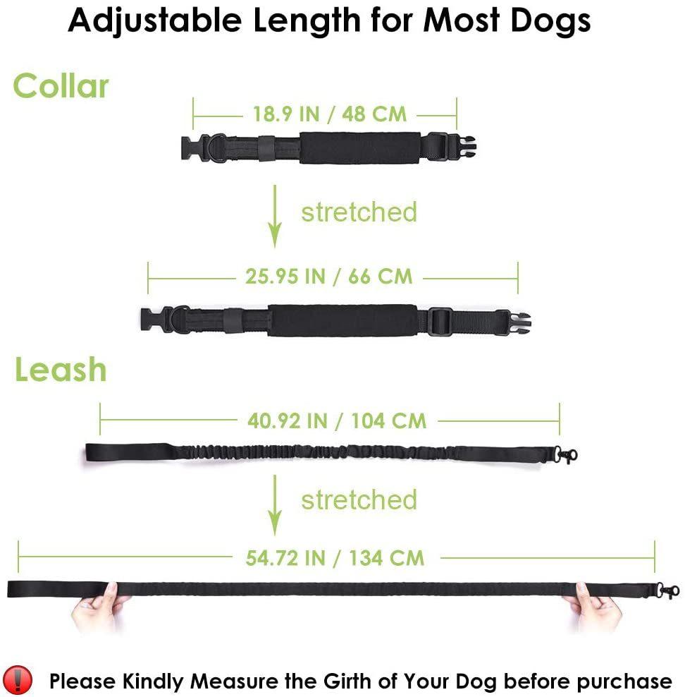 Adjustable Military Training Nylon Collar and Hands Free Heavy Duty Bungee Lead