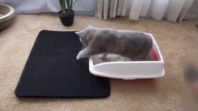 Non-Slip EVA Double Layer Pet Cat Litter Trapper Mats