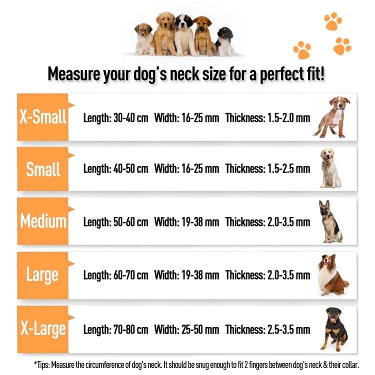 Wholesale Designer Safety PVC Dog Collar and Leash Set with Dispenser for Daily Outdoor Walking Training Small Medium Large Dogs