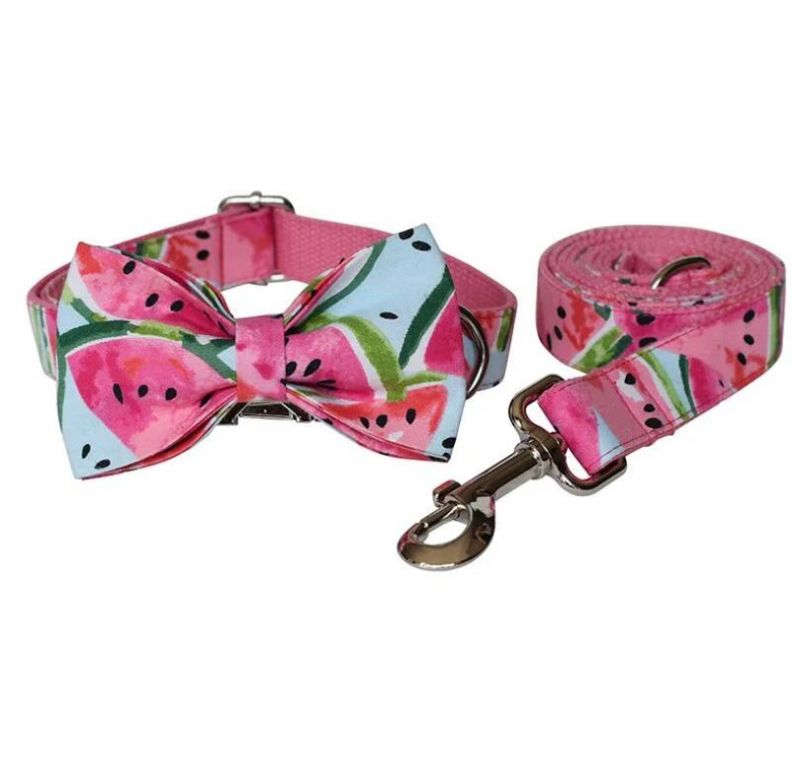 Summer Style Watermellon Dog Collar with Floral