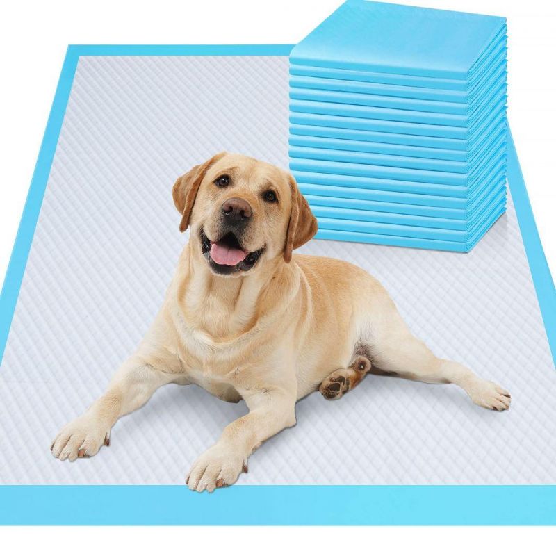 Manufacturer Disposable Absorbent Wholesale PEE Pad 60X90 Pet Accessory Underpad