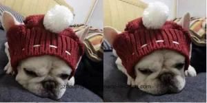 High Quality Pet Hat Cute Lovely Pet Product Pet Hat