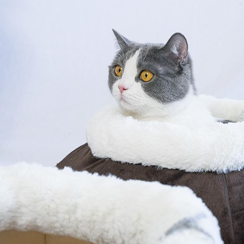 2022 New Design Creative Felt Pet Tents Portable Folding Travel Cat Bed