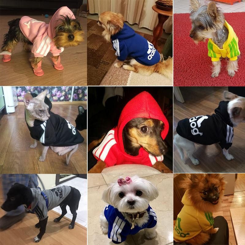 Wholesale Custom Pet Adidog Puppy Hoodie for Dog Clothes Ropa De Perro Two Legs Luxury Hoodies