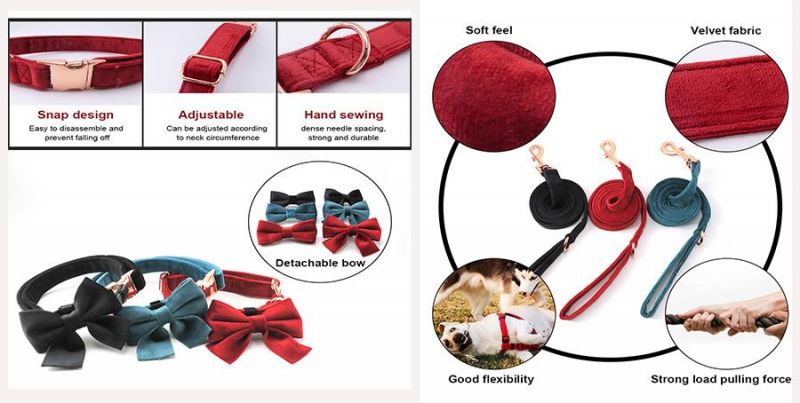 OEM High Quality Rose Gold Metal Buckle Adjustable Velvet Dog Leash and Dog Collar