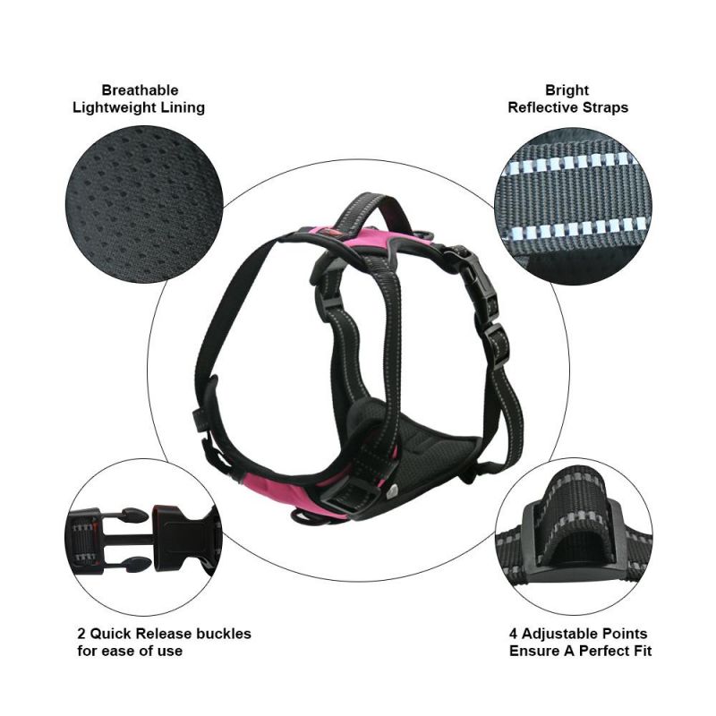 OEM Pet Products Full Sets of Harness Directly Factory Price Dog Harness Adjustable Dog Collar/Popular