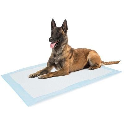 Wholesale Dog Training Pad Super Absorbent Underpad Disposable