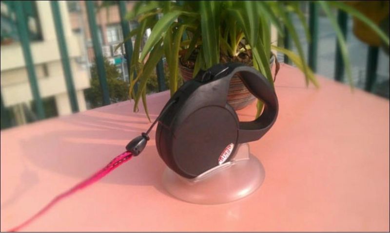 Unique Retractable Dog Leash Outdoor Pet Accessory, Auto Dog Leash