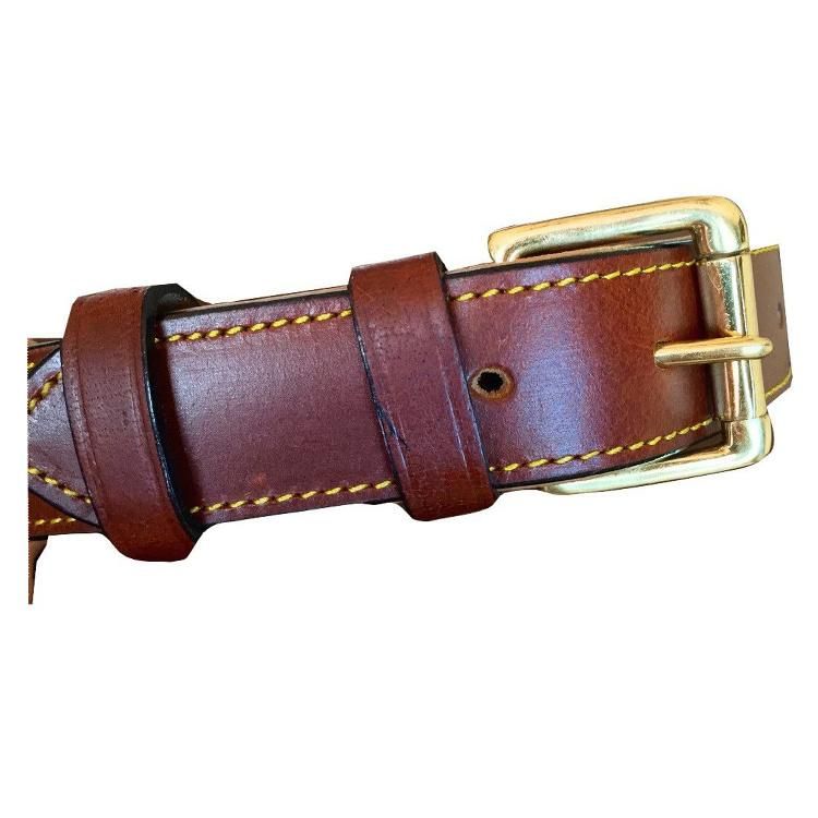 Golden Buckle Padded Genuine Real Leather Dog Collar