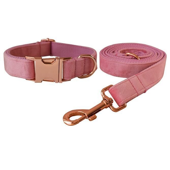 Velvet Dog Collars with Detachable Bowtie