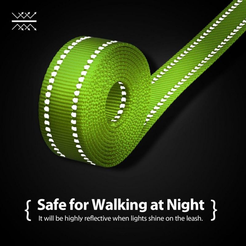 Reflective Dog Leash with Soft Padded Handle for Training, Walking Lead for Large & Medium Dog