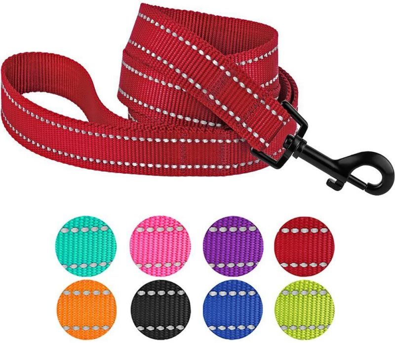 5 Feet Nylon Dog Leash for Daily Outdoor Walking Running Training