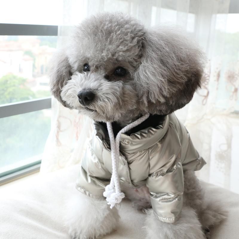 Winter Luxury Designer Waterproof Pet Clothes Warm Dog Coats New Design Dog Clothes