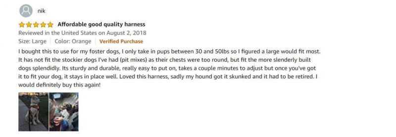 Custom Reflective No Pull Pet Dog Harness Breathable and Adjustable Pet Vest