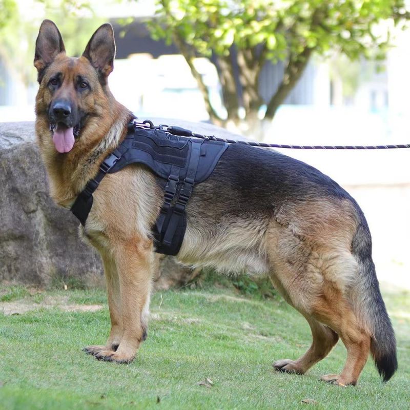 Large Tactical Dog Harness No Pulling Adjustable Dog Vest Harness