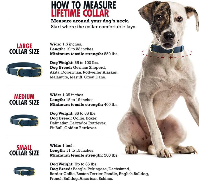 Lightweight Flexible and Comfortable Waterproof Dog Collar