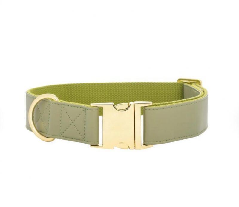 Olive Leather Luxury Dog Collar Leash Set