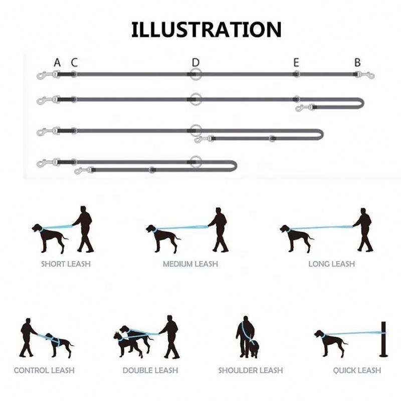 6.2FT Multifunctional Dog Leash, Double Ended Lead Last Long, Walk Train Your Pet/Pet Toy/Dog Harness