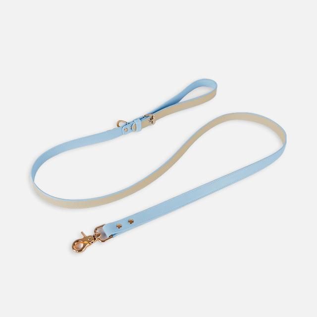 Hot Sale Luxury All Seasons High Quality Leather Eco-Friendly Fashion Pet Dog Leashes