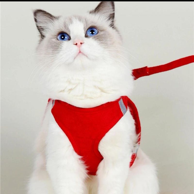 Comfortable Durable Cat Traction Set Liked by Cats