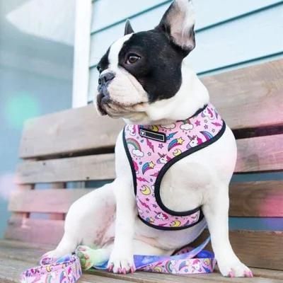 Customized Dog Harness Set Harness Dog