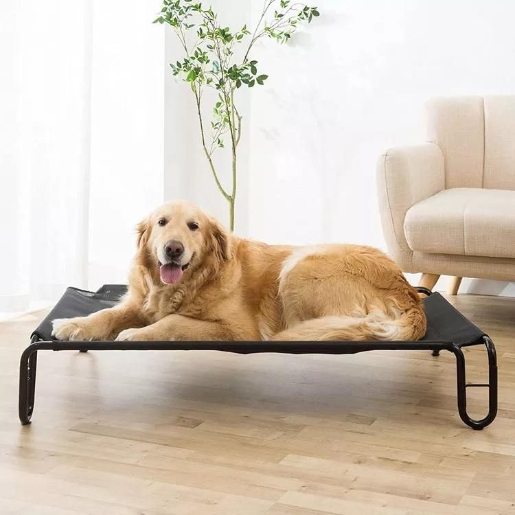 New Design Raised Dog Bed Cot with Breathable & Durable Mesh