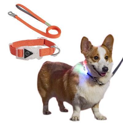 2021 Amazon High Quality Light up Luminous Glowing Collares De Luz PARA Mascostas Pets Dog LED Collar and Leash
