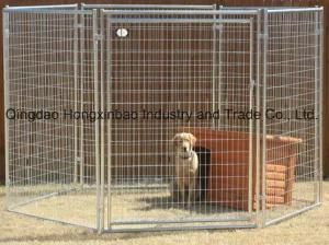 Square Tube/Round Tube Galvanized /PVC Coated Wire Mesh Dog Cage