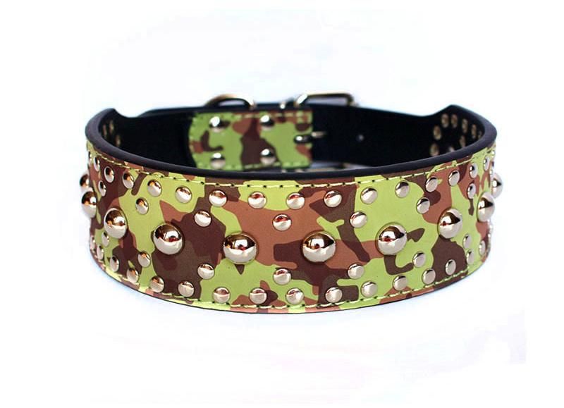 Large Pet Collar with Twinkling Rivet Studded