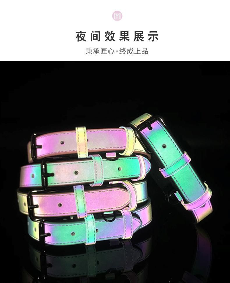 Light Reflective Fashion Collar and Leash for Pet Dog