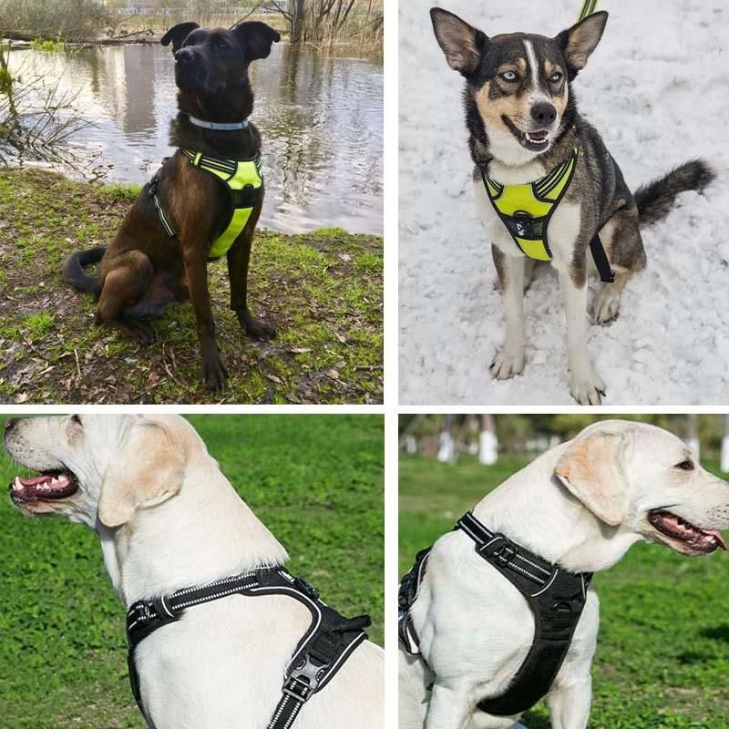 Pet Dog Harness All Weather Padded Adjustable Safety Vehicular Leads for Dogs Pet