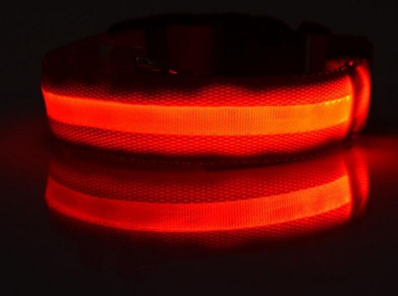 USB Charging LED Dog Collar Anti-Lost Dog Collars Leads LED Supplies Pet Products