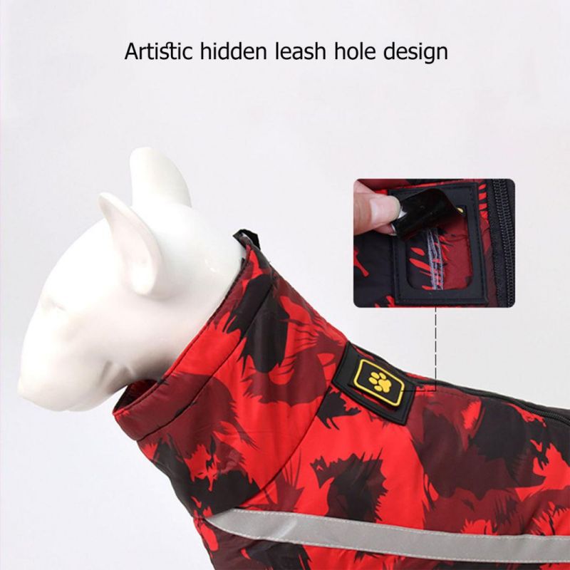Irregular Beautiful Antumn Leaves Pet Coat for Large Dog