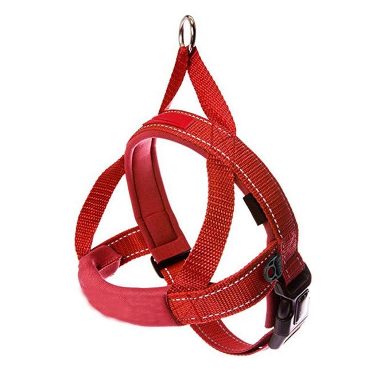 OEM All Kinds of Pet Products, Pet Accessories, Pet Supplier